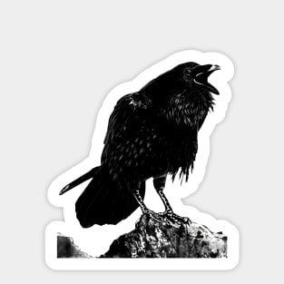 Raven #2 Sticker